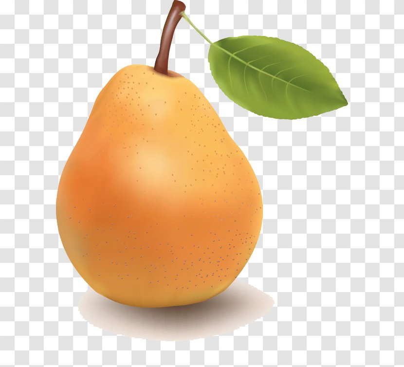 Pear Tangerine Fruit Tangelo - Citrus Transparent PNG
