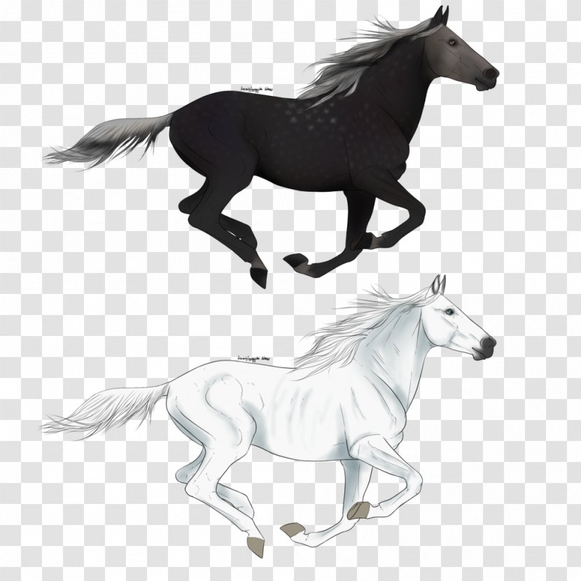 Horse Silhouette Clip Art - Pony Transparent PNG