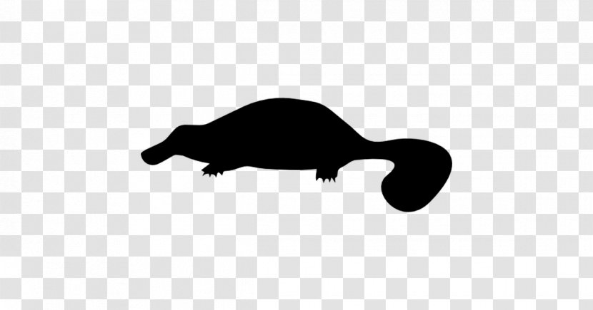 Platypus Mammal Carnivora Animal - Black And White - Shape Transparent PNG