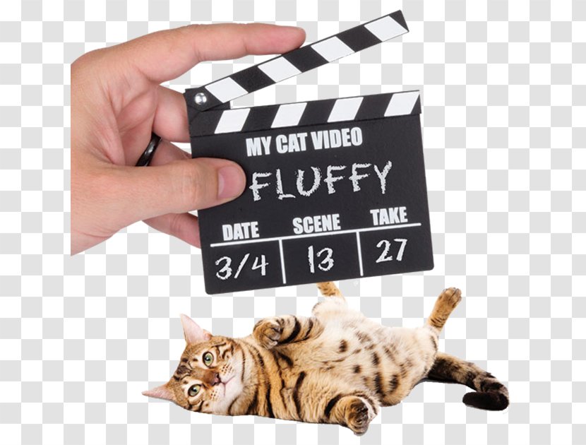 Cats And The Internet Clapperboard Video Pet Door - Gift - Cat Transparent PNG
