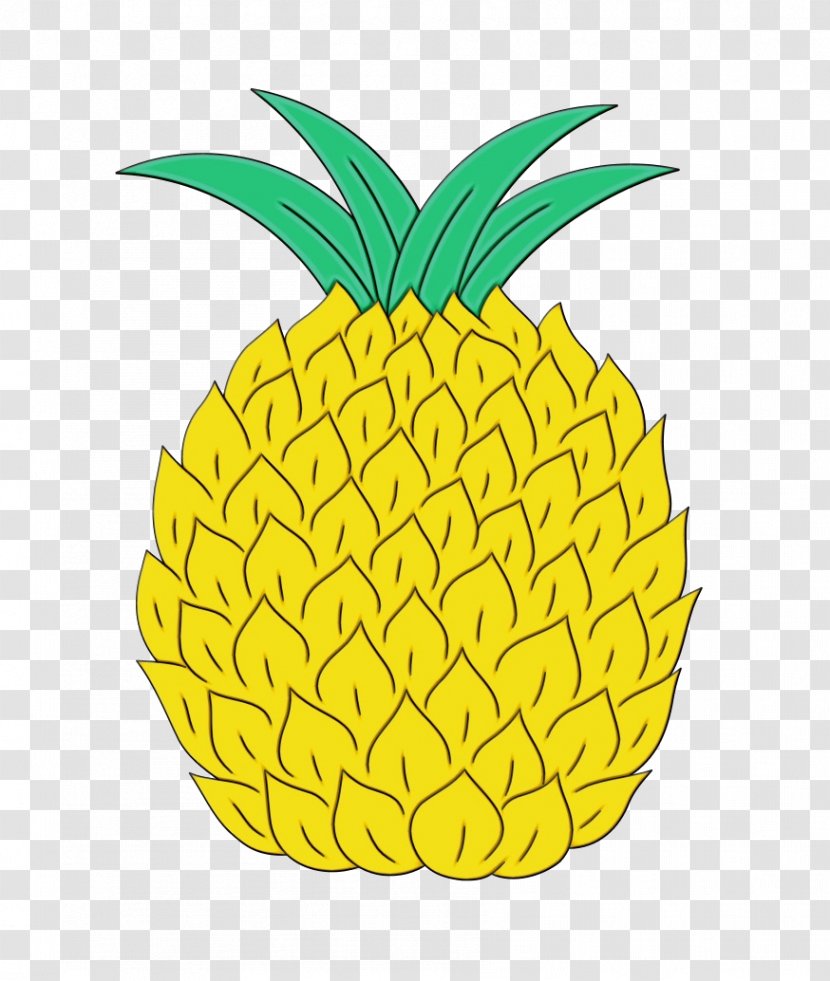 Pineapple - Fruit - Poales Food Transparent PNG