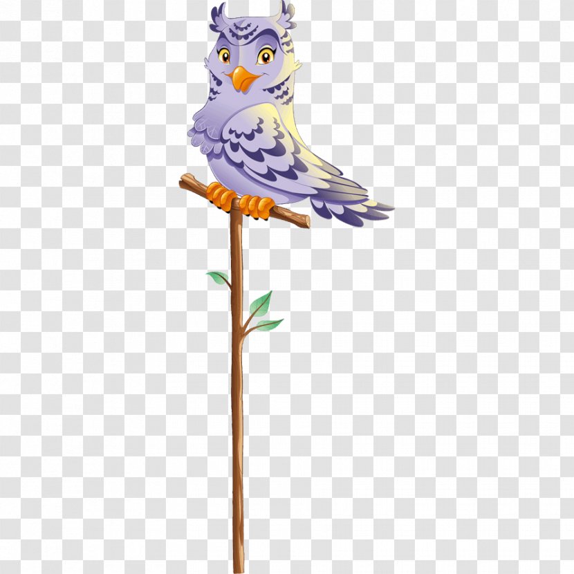 Owl Parakeet Feather Beak Pet Transparent PNG