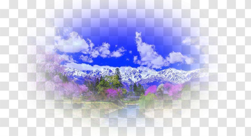 Desktop Wallpaper Close-up Computer Flower Sky Plc - Lilac Transparent PNG