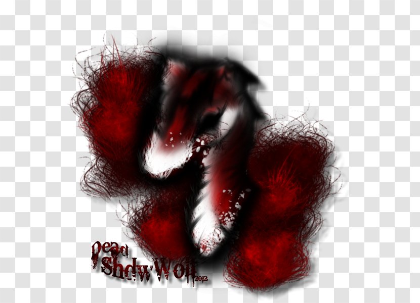 Desktop Wallpaper Blood Snout Computer Font Transparent PNG