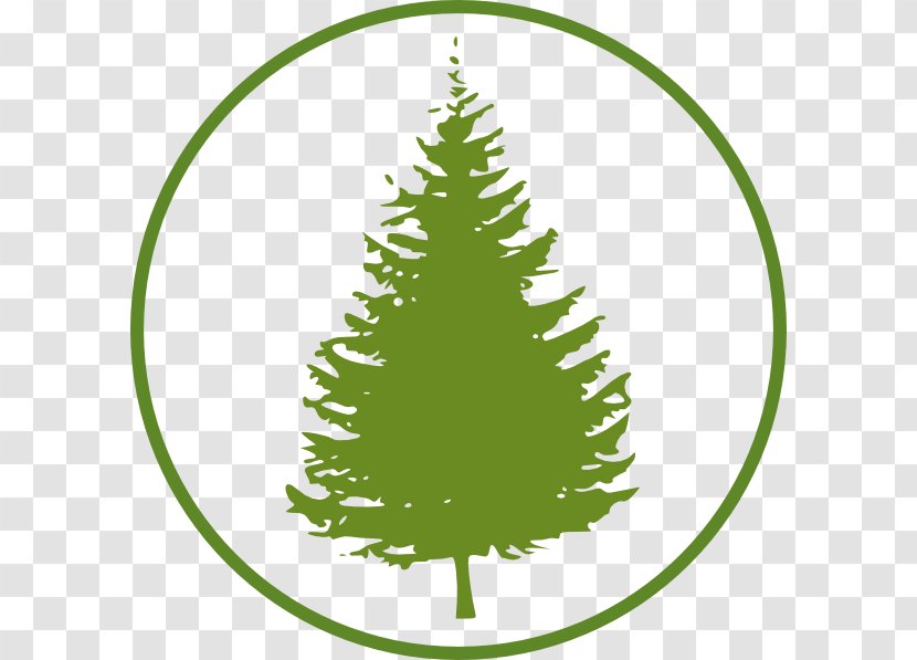 Eastern White Pine Tree Fir Clip Art - Grass Transparent PNG
