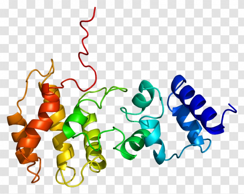 CYTH3 GeneCards CYTH1 Protein - Heart - Flower Transparent PNG