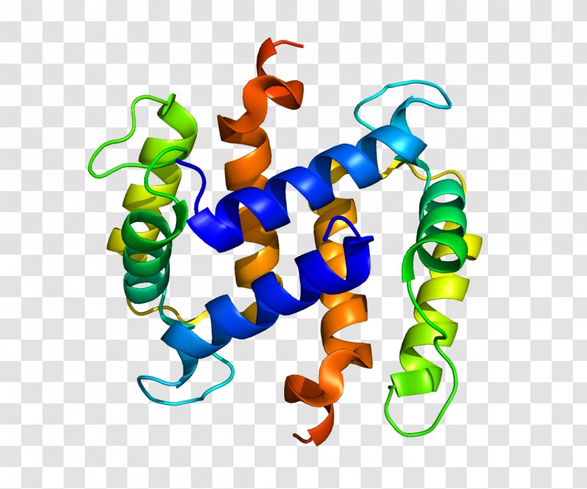 S100 Protein EF Hand S100A2 Calcium-binding - Tree Transparent PNG