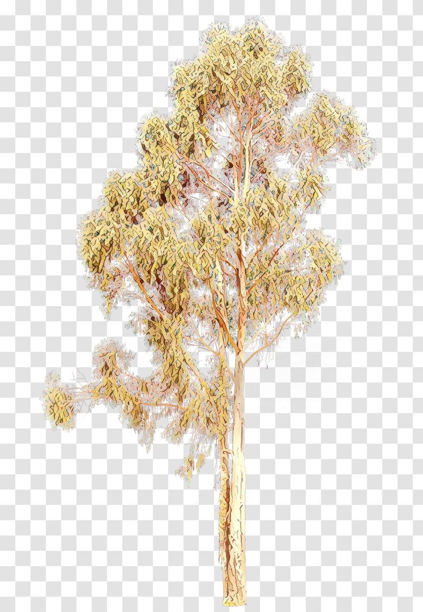 Plant Tree Grass Family Flower - Cut Flowers - Twig Transparent PNG