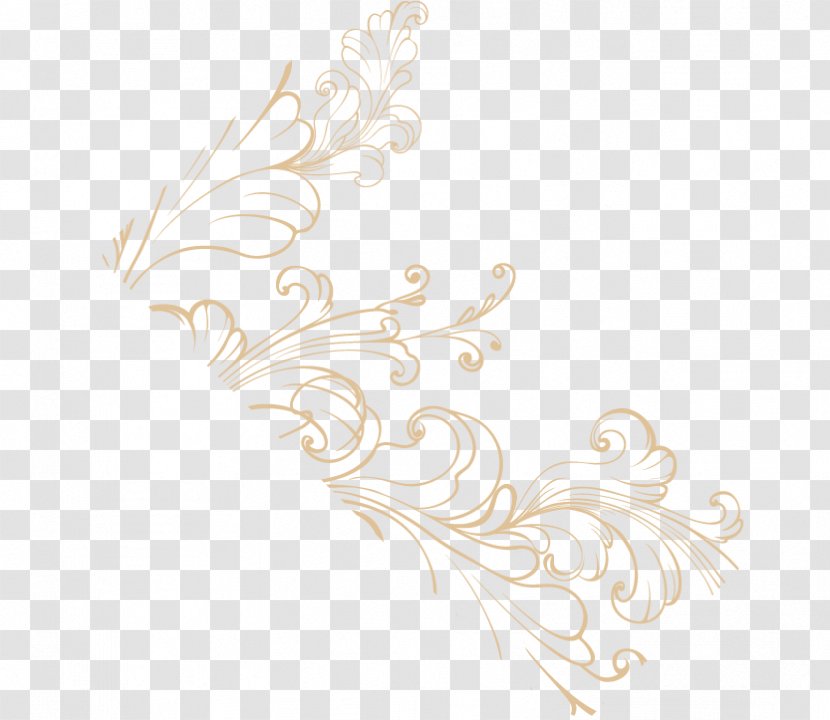 Feather Pattern - White - Wedding Ornament Transparent PNG