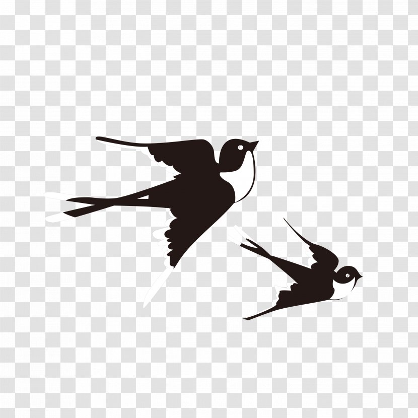 Swallow Bird Lichun - User - Swallows Fly Transparent PNG
