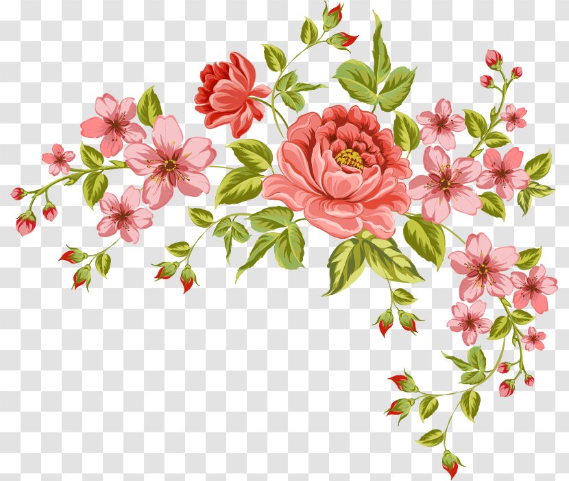 Flower Drawing - Blossom Transparent PNG