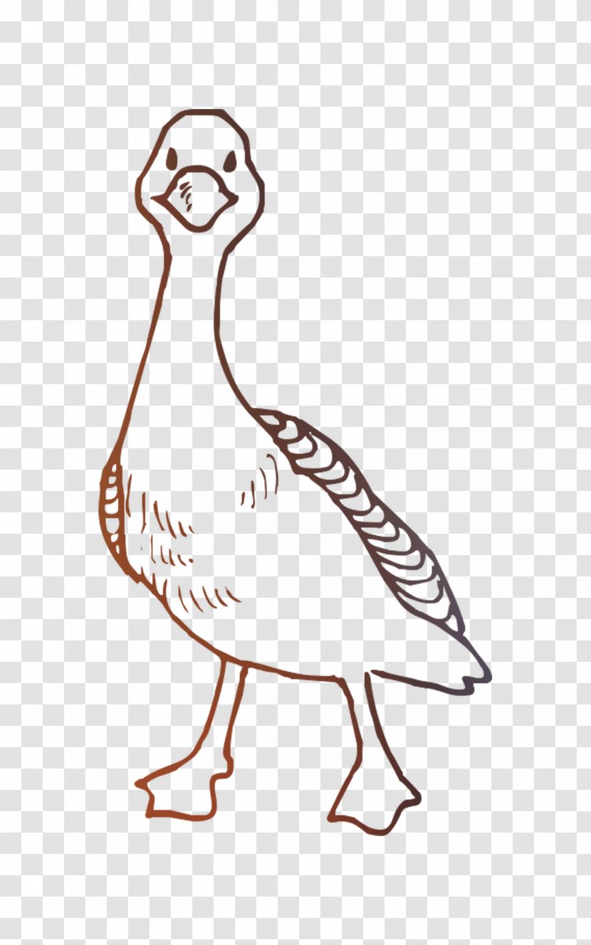 Duck Chicken Cartoon Design Illustration - Coloring Book - Beak Transparent PNG