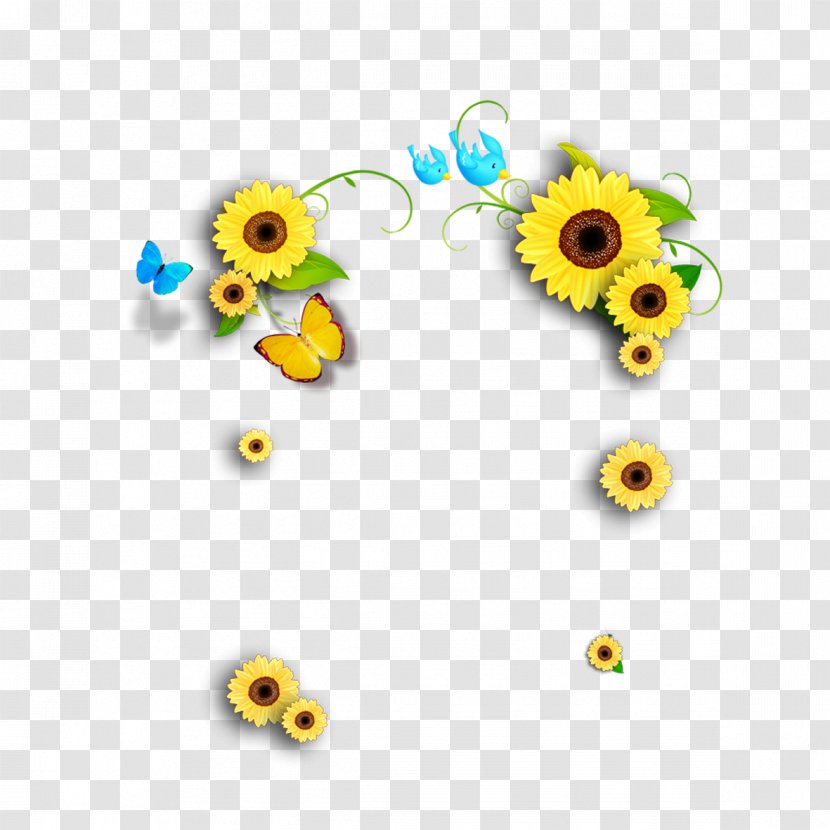 Common Sunflower Designer Computer File - Floristry - Edge Transparent PNG