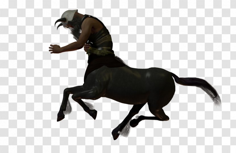 Mustang Pony Stallion Rein English Riding - Fictional Character - Bone Transparent PNG