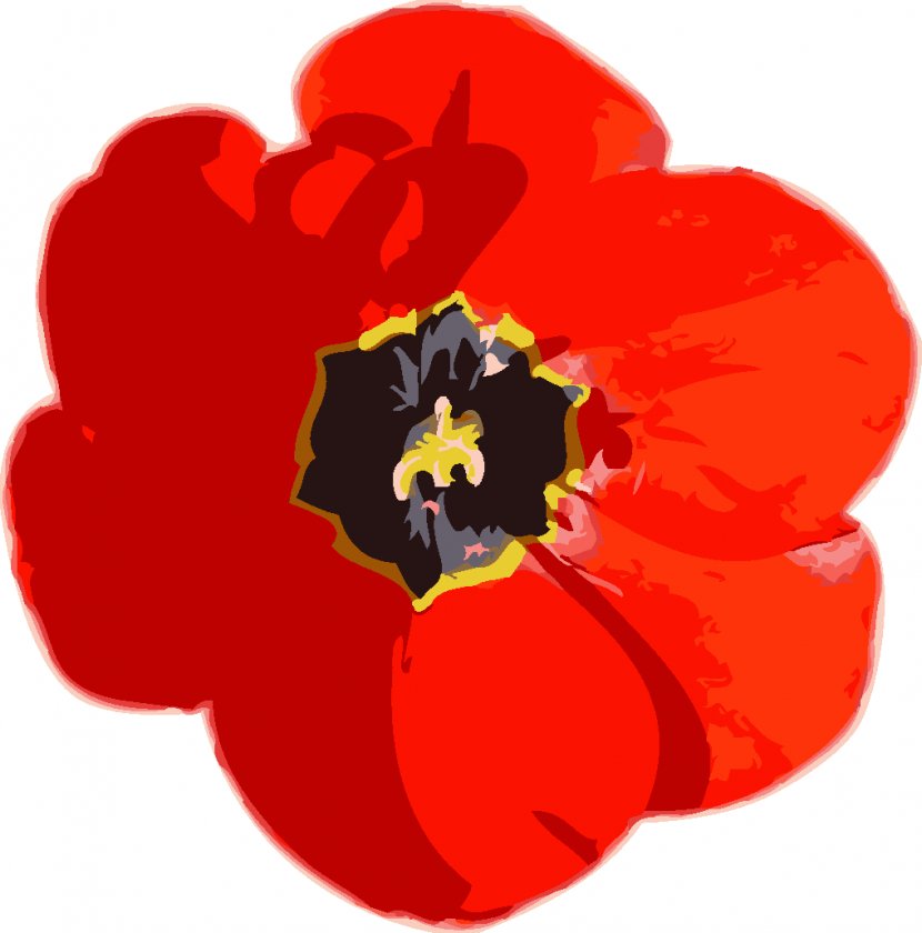 Flower Red Purple Orange - Blue - HD Transparent PNG