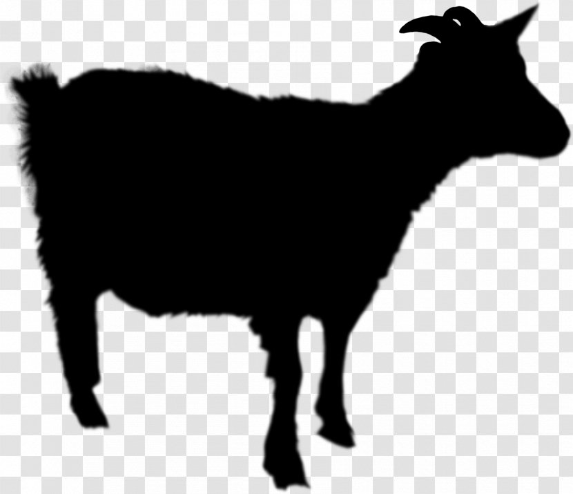 Sheep Donkey Boer Goat Image Cattle - Goatantelope Transparent PNG