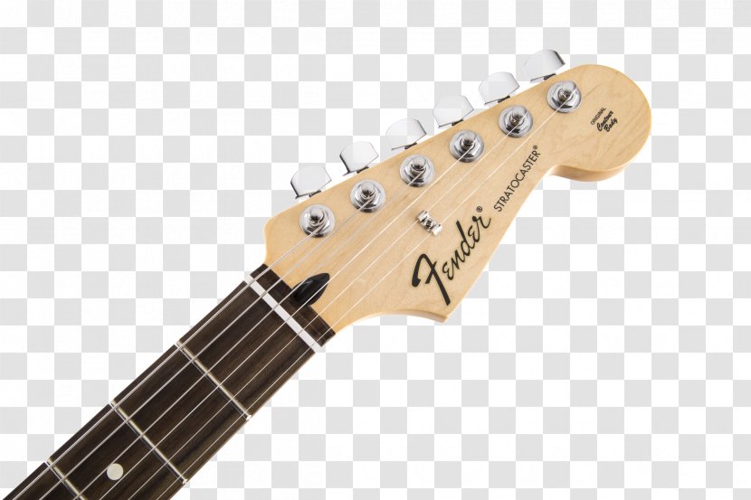 Fender Stratocaster Musical Instruments Corporation Guitar Fingerboard - String Instrument - Electric Transparent PNG