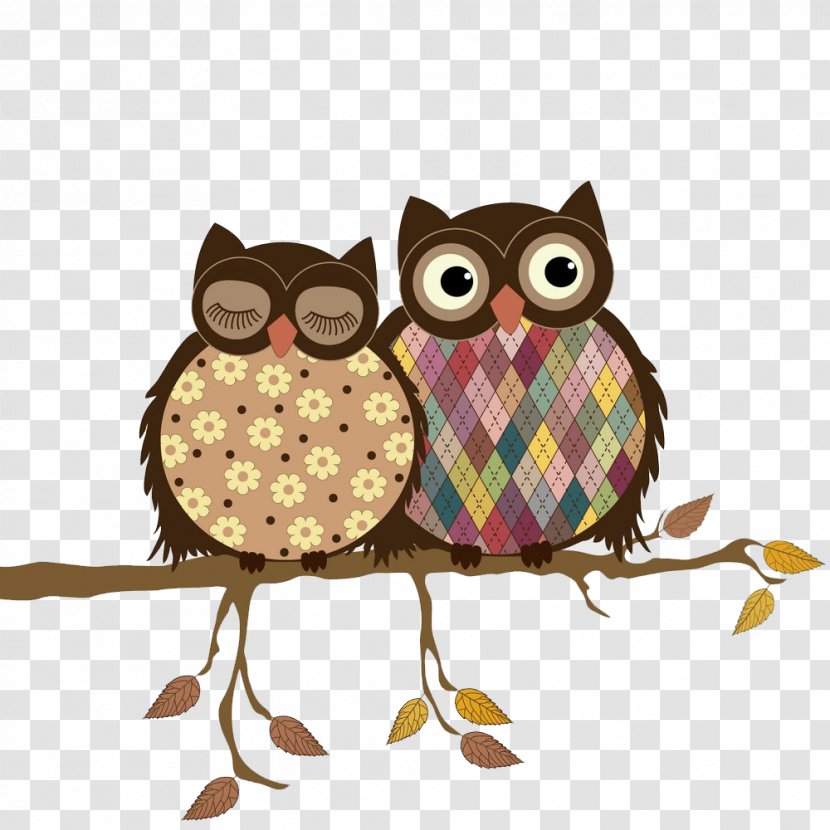 Tawny Owl Pillow Illustration - Color - Branches Transparent PNG