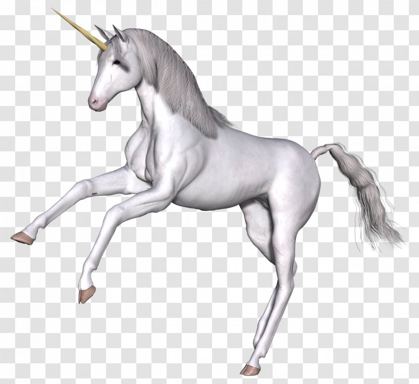 Unicorn Fairy Tale Scotland Legendary Creature - Fictional Character Transparent PNG