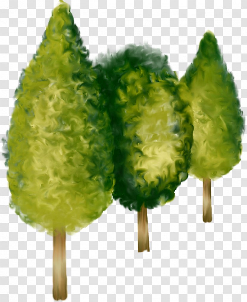 Tree Light Shrub Clip Art - Leaf Vegetable - Broccoli Transparent PNG