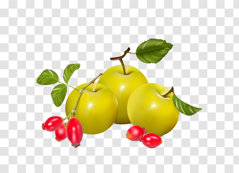 Berry Rose Hip Pear Euclidean Vector - Peach - Pears And Tomatoes Transparent PNG