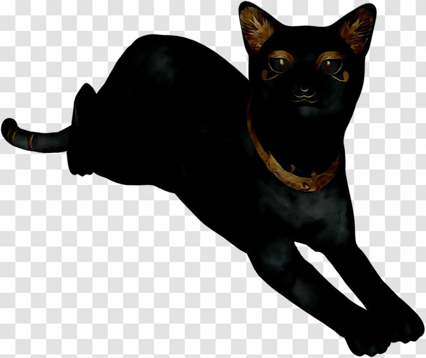Havana Brown Whiskers Domestic Short-haired Cat Mumbai Snout - Shorthaired - Black Transparent PNG