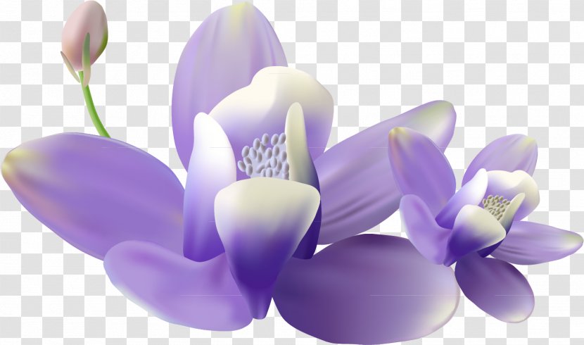 Mural Painting Wall Wallpaper - Violet Transparent PNG