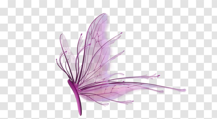 Purple Dragonfly - Pink - Butterfly Transparent PNG