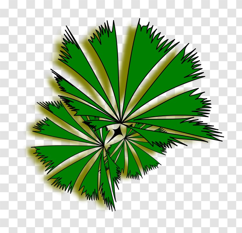 Arecaceae Tree Free Content Clip Art - Palm Transparent PNG