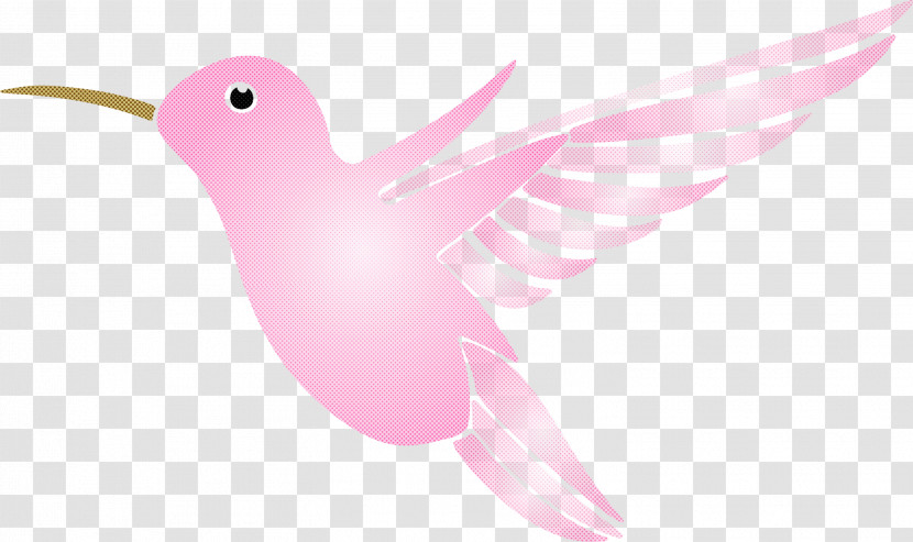 Hummingbird Transparent PNG