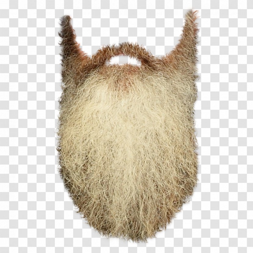 Beard Clip Art - Moustache - Paddy Transparent PNG