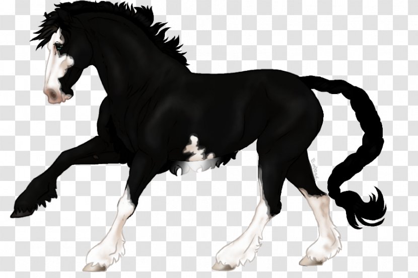 Mane Mustang Stallion Foal Mare - Vertebrate Transparent PNG
