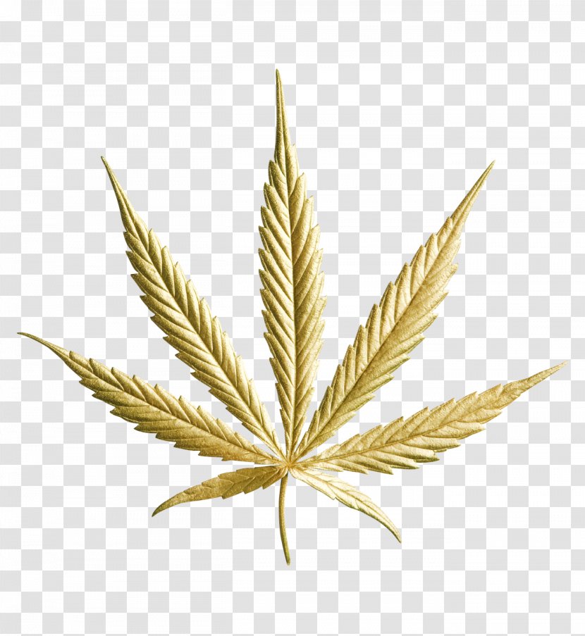Medical Cannabis Drug Kush Hemp - Industry - Marijuana Transparent PNG