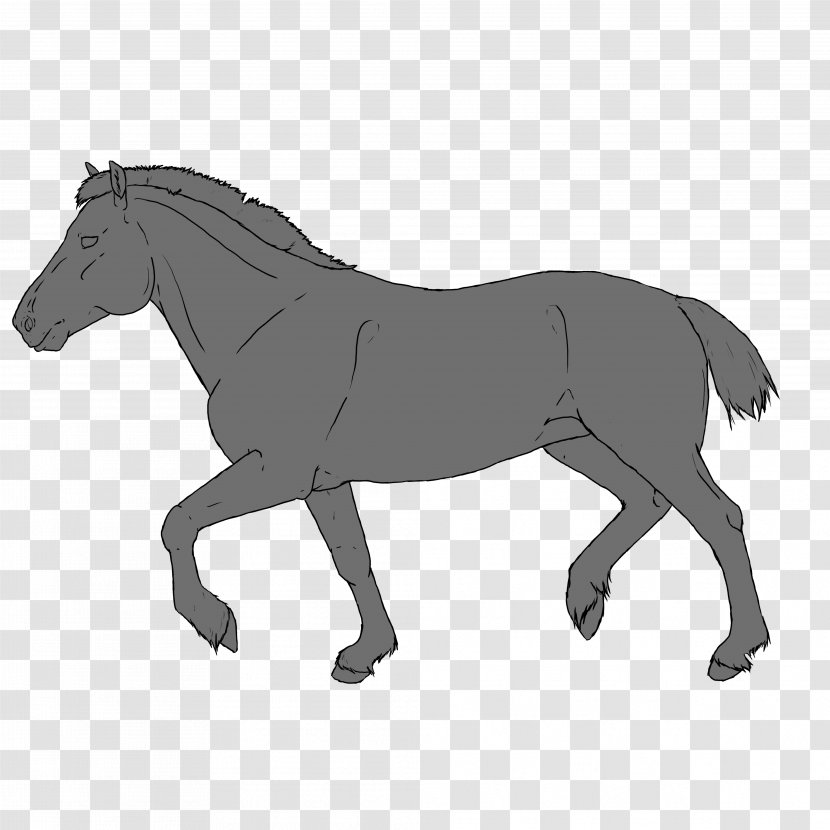 Mule Foal Pony Donkey Stallion - Pack Animal Transparent PNG