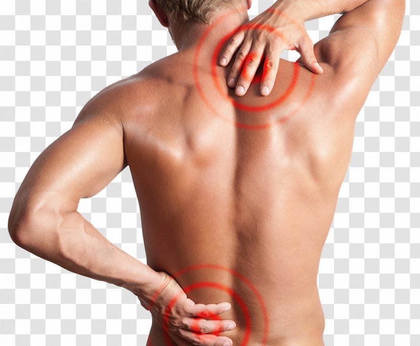 Low Back Pain Neck Management Human - Flower Transparent PNG