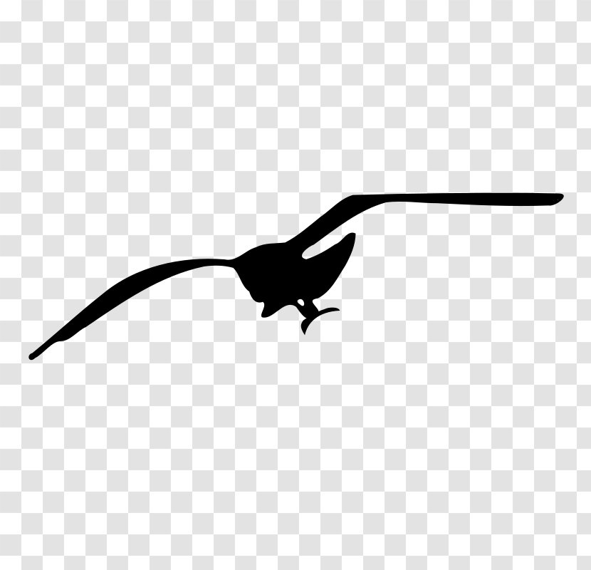 Gulls Drawing Clip Art Transparent PNG