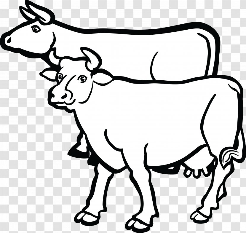 Holstein Friesian Cattle Beef British White Clip Art Vector Graphics - Ayrshire - Barnyard Transparent PNG