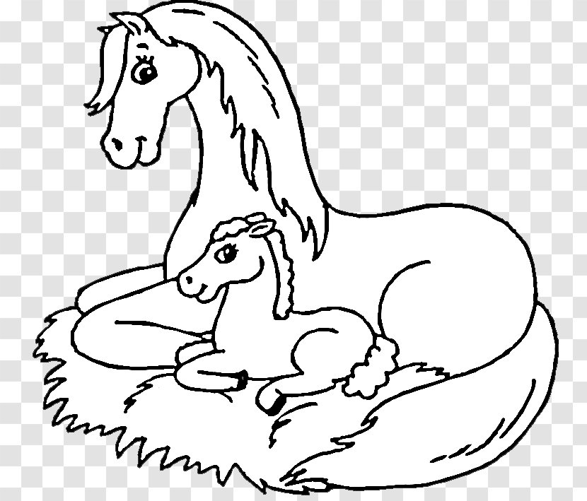 Foal Coloring Book Pony Mustang Colouring Pages - Watercolor - Fairy Tale Material Transparent PNG