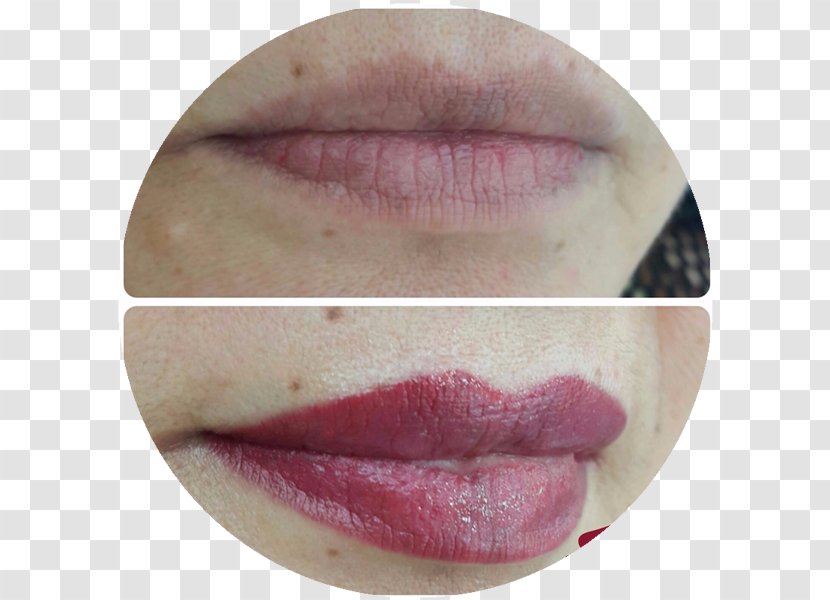 A Sobrancelharia Permanent Makeup Eyebrow Lip Gloss Pigment - Lipstick - Sobrancelhas Transparent PNG