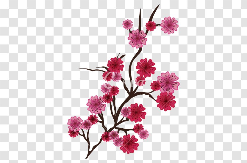 Cherry Blossom Royalty-free Transparent PNG