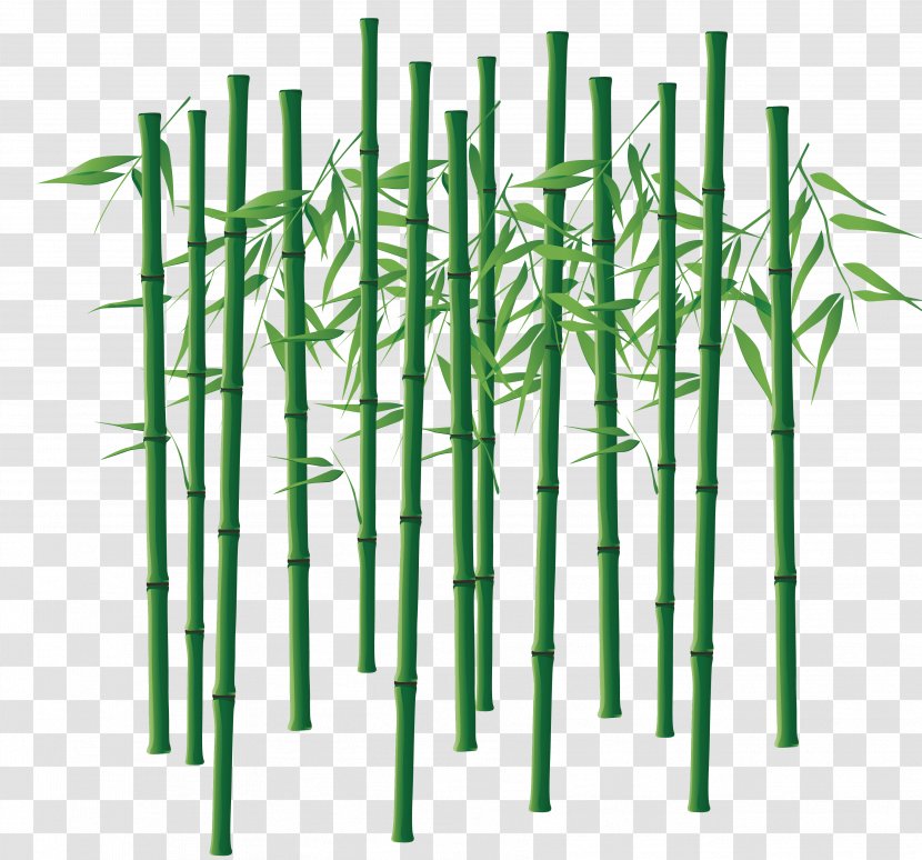 Bamboo Bamboe Computer File - Graphics - Hand-painted Vector Material Transparent PNG