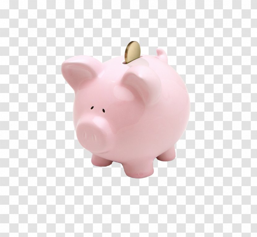 Piggy Bank Money Finance Saving - Dollar Coin Transparent PNG