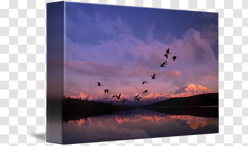 Wonder Lake Denali Crane Poster Picture Frames - Heat Transparent PNG