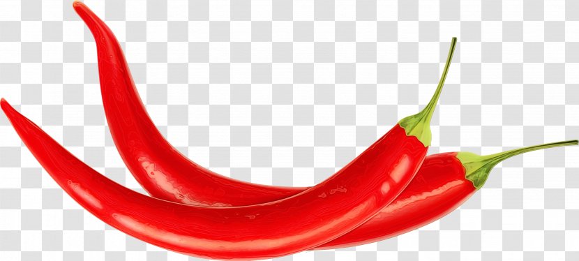 Mouth Cartoon - Paint - Food Capsicum Transparent PNG