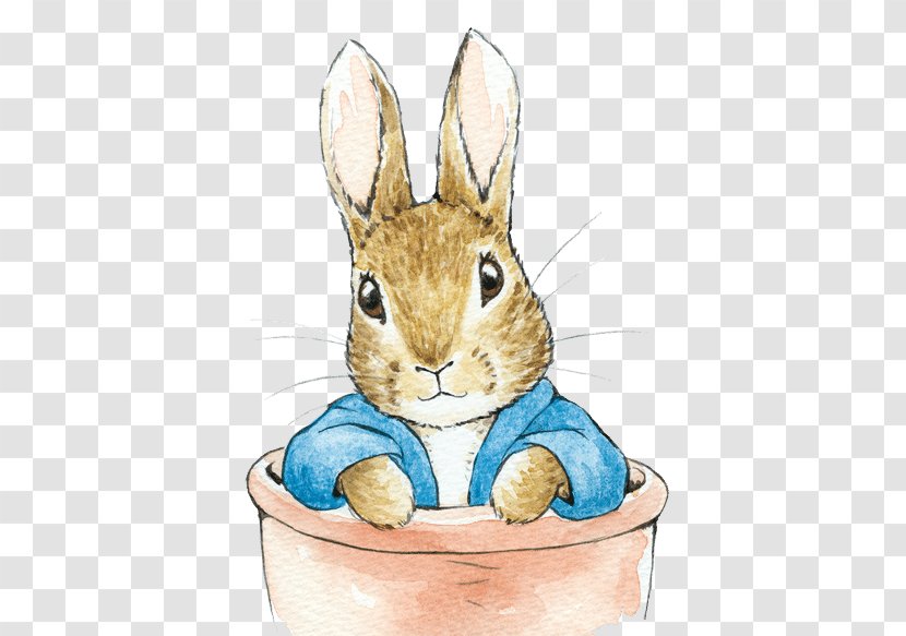 Domestic Rabbit The Tale Of Peter Easter Bunny - Tailor Gloucester Transparent PNG