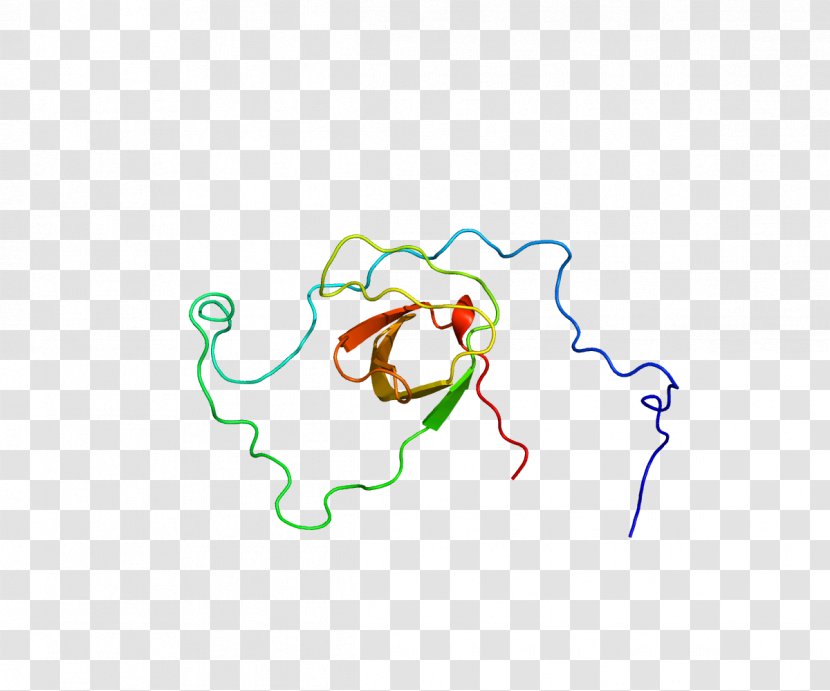 Dock2 ELMO1 Gene Protein Intracellular - Cartoon - Flower Transparent PNG