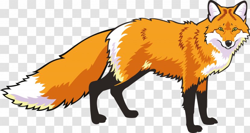 Red Fox Royalty-free Clip Art - Fauna Transparent PNG