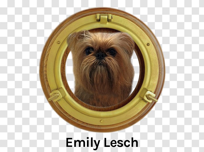 Porthole Shih Tzu Ship Window Boat - Snout Transparent PNG