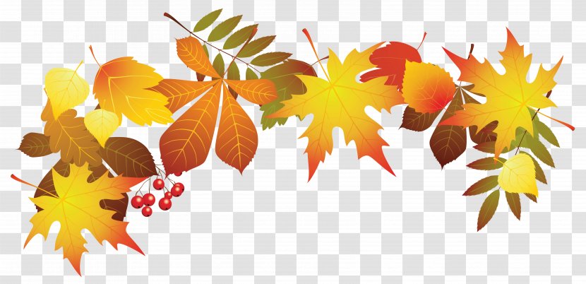 Autumn Leaf Color Clip Art - Tree - Transparent Leaves Decoration Clipart Image Transparent PNG