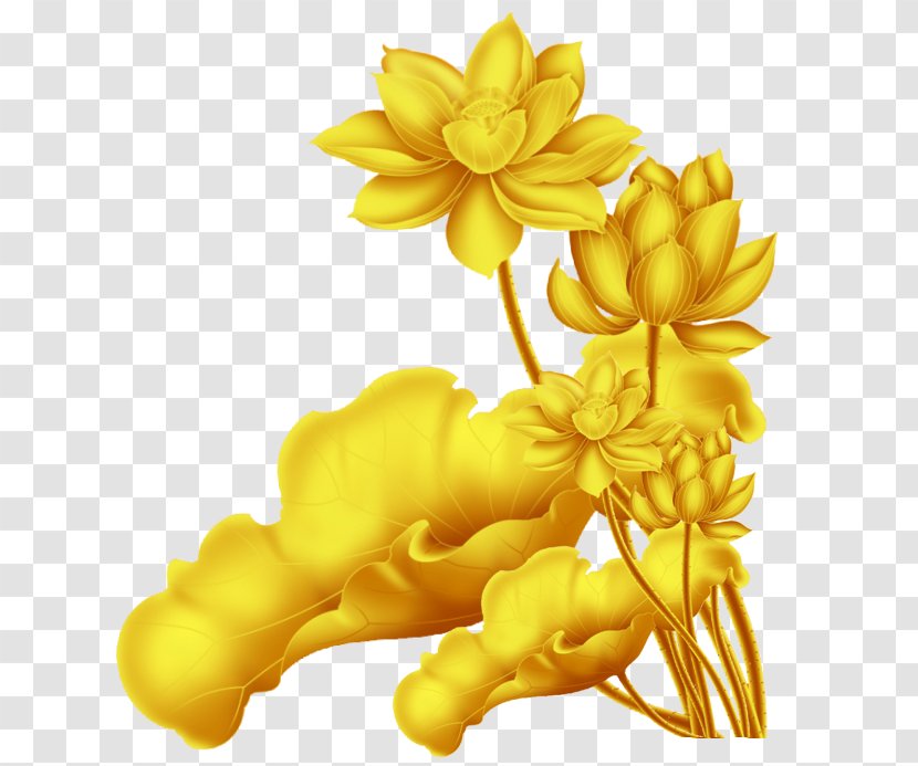 Nelumbo Nucifera Clip Art - Flower - Golden Lotus Pattern Transparent PNG
